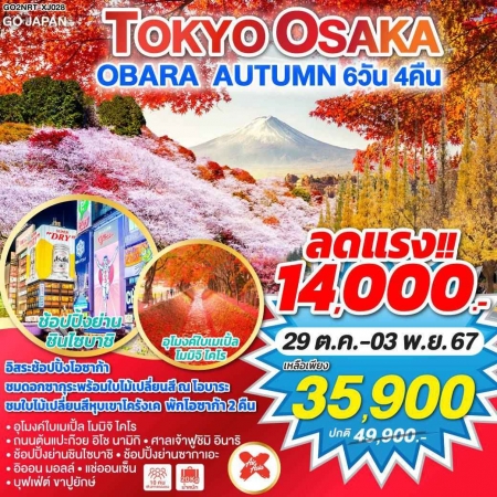 ทัวร์ญี่ปุ่น AJP75-46 TOKYO OSAKA OBARA AUTUMN NRT-XJ028 (131167)