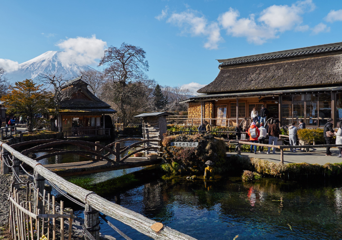 ทัวร์ญี่ปุ่น AJP61-03 SHIZUOKA IZU TOKYO(200766)
